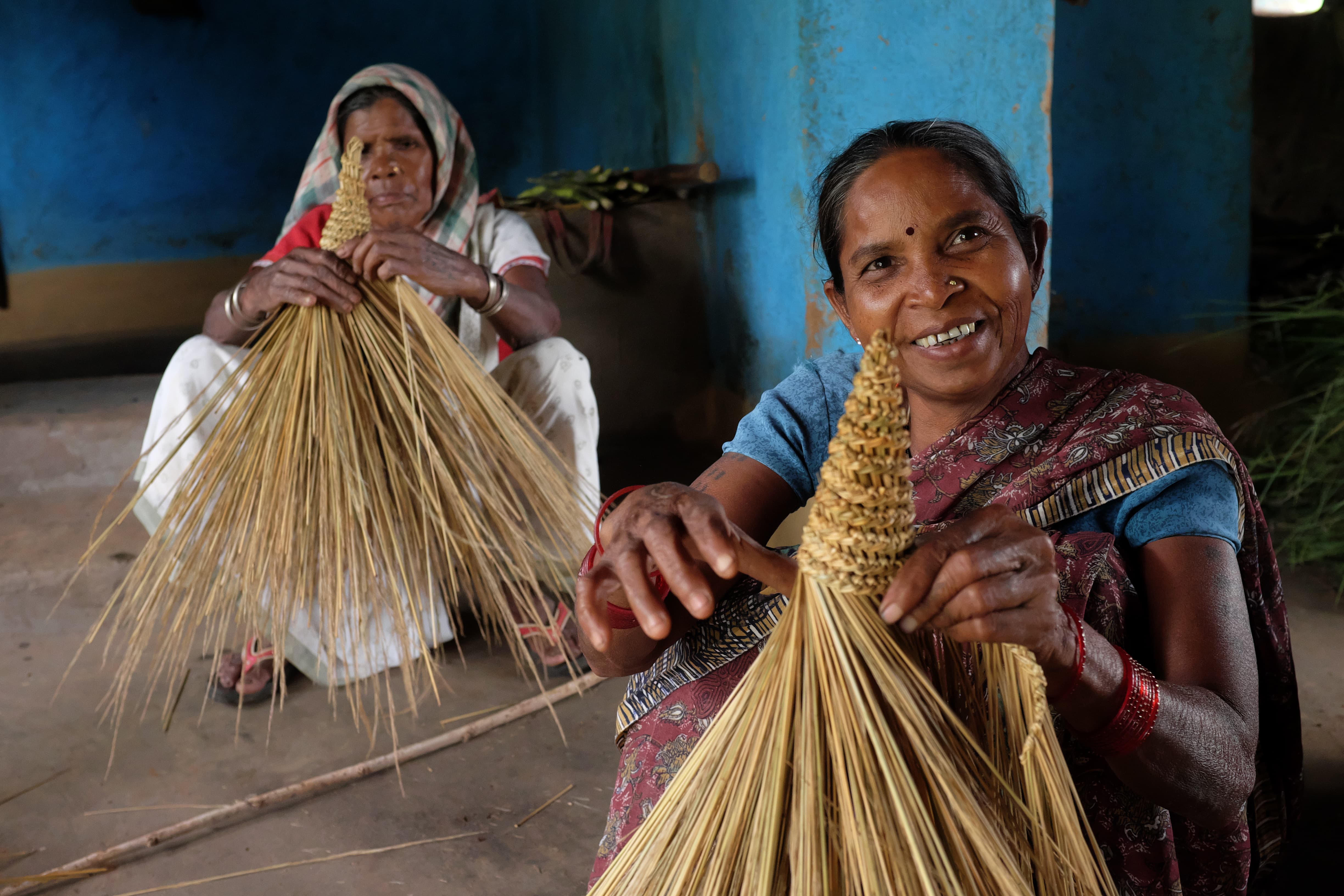 villagers have the right to collect and sell dry fallen wood from the forest